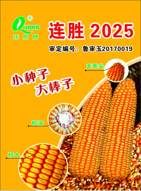 连胜2025