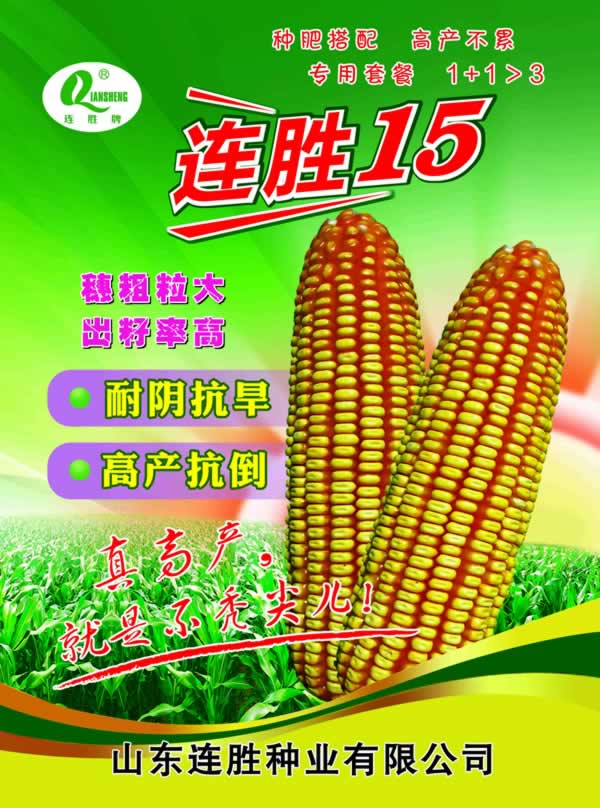 连胜15